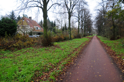 825555 Gezicht op het Galgenwaardsepad (fietspad) te Utrecht, met links het huis Koningsweg 286.